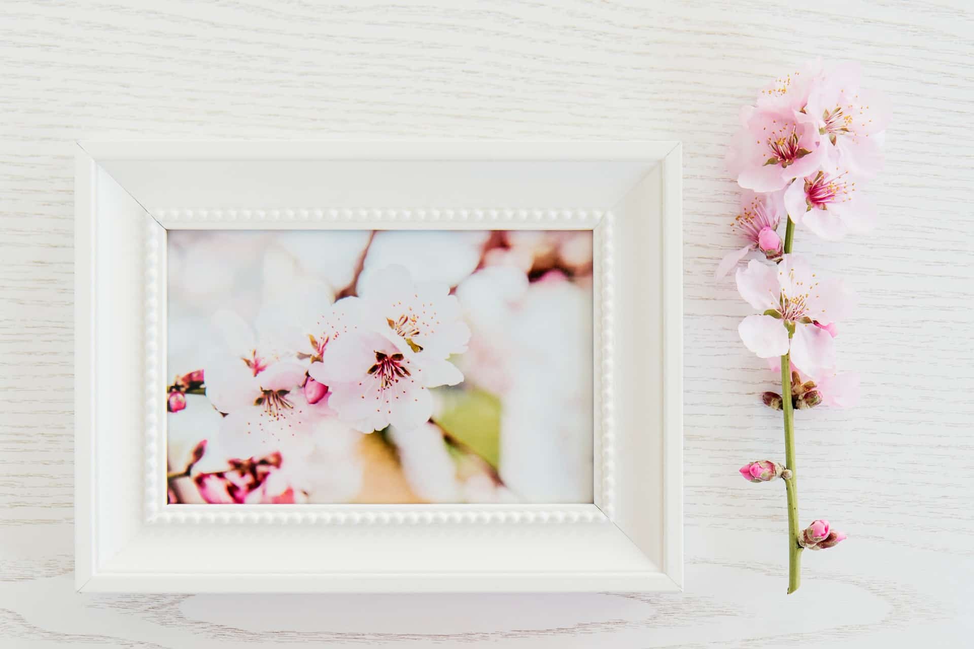 white digital photo frame