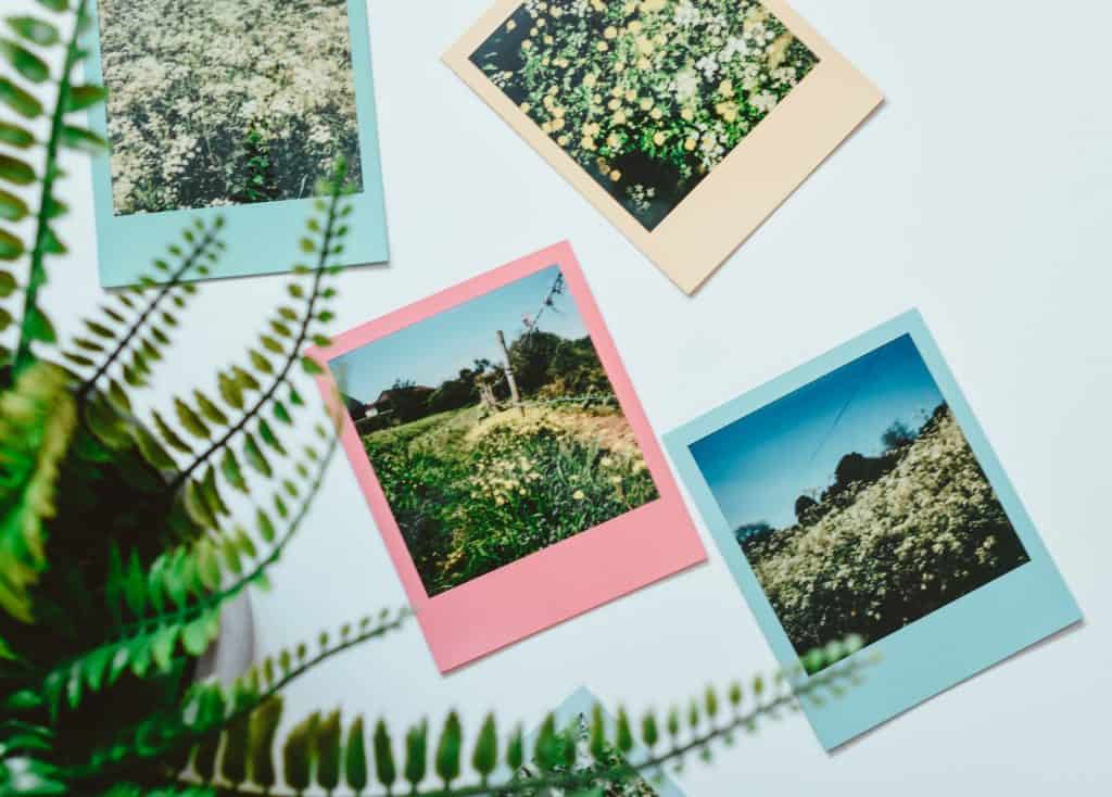 Do Polaroid Digital Picture Frames Have What It Takes? PixStar Blog