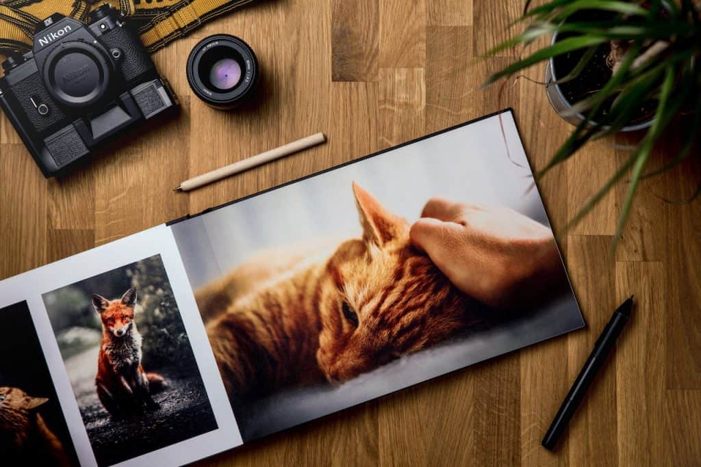 Is Getting a Kohls Digital Picture Frame Worth Your Time? PixStar Blog