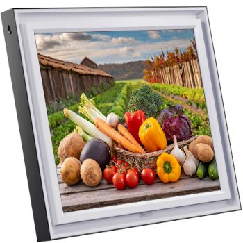 Pix-Star LUX 17 pouces pour afficher des photos de famille